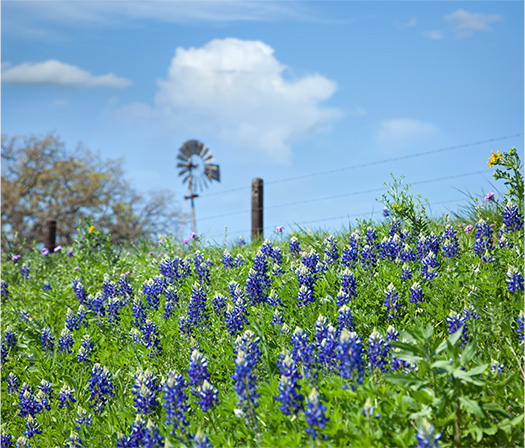 Northlake TX Area Conveniences